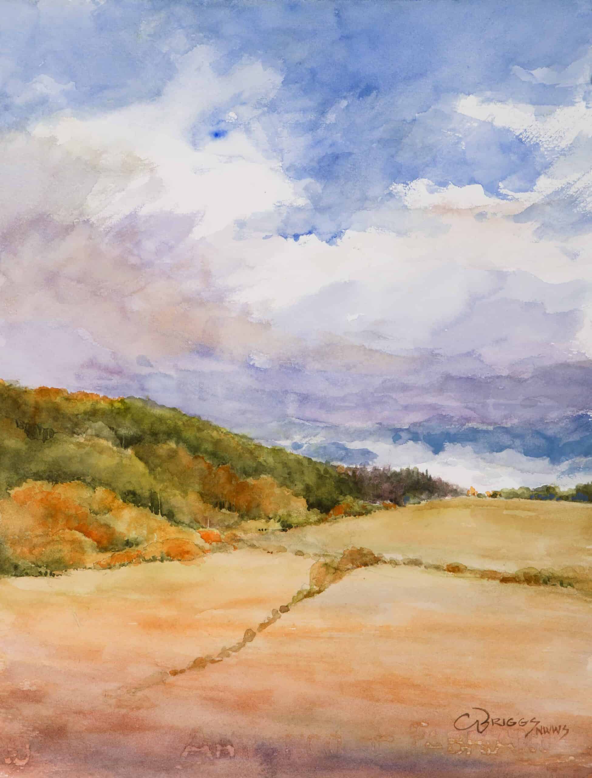 After the Rain scaled After the Rain - Walden, Colorado Cindy Briggs Art Watercolor Painting