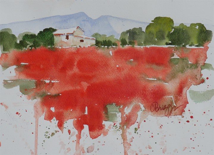 Provence Poppies Provence Poppies Cindy Briggs Art Watercolor Painting
