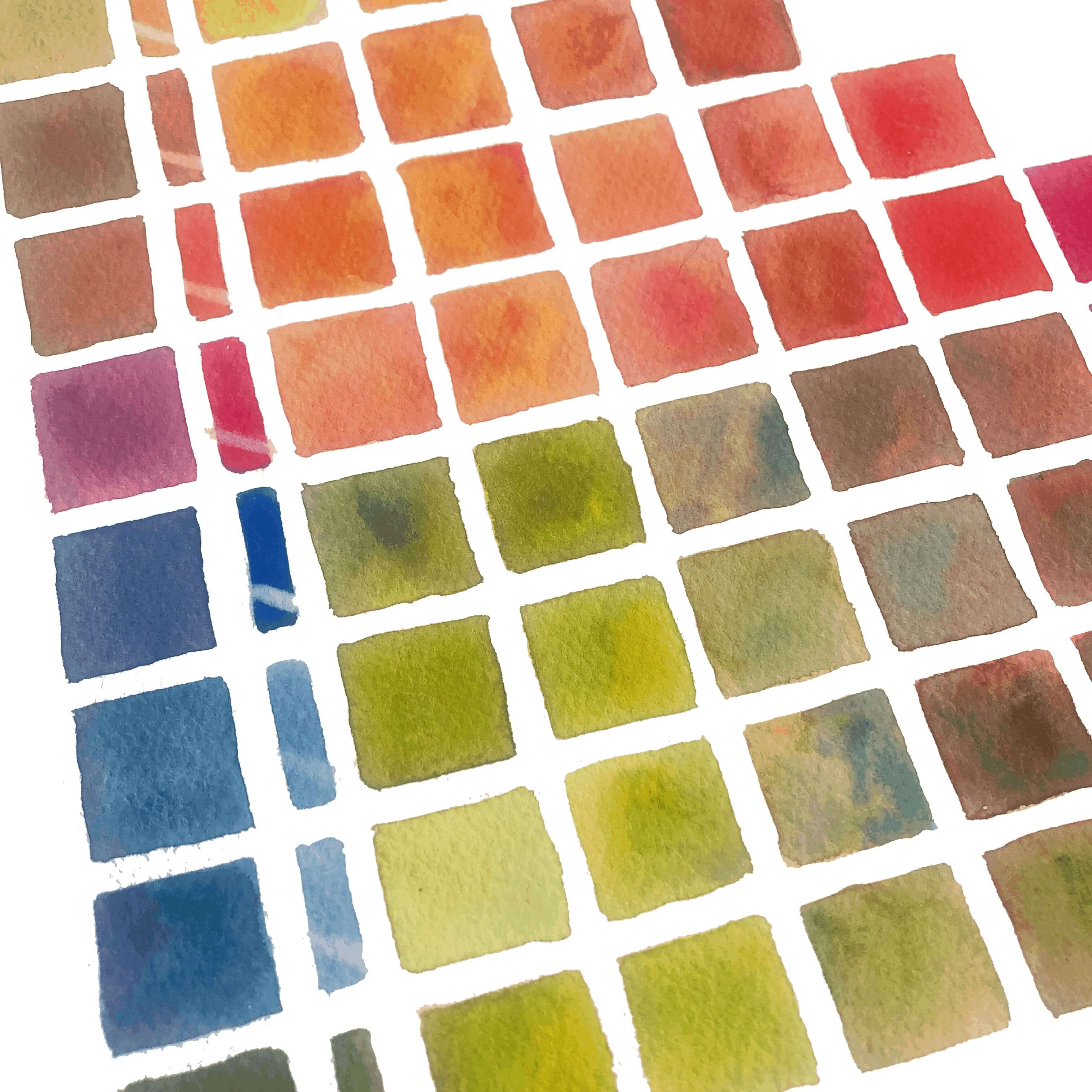 Flowers Cindy Briggs Watercolor Paintings Art Workshops