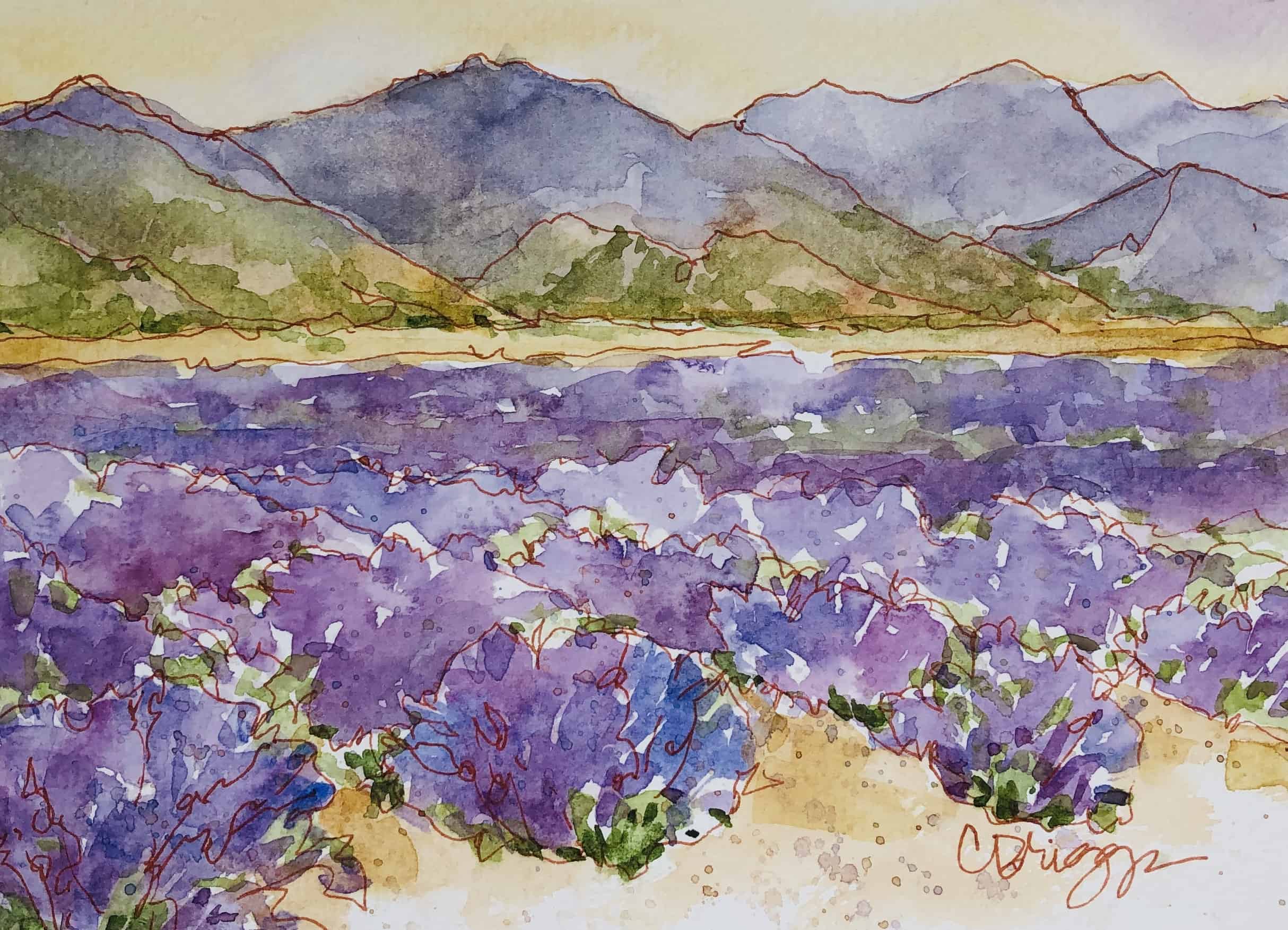 how to plan out a watercolor painting