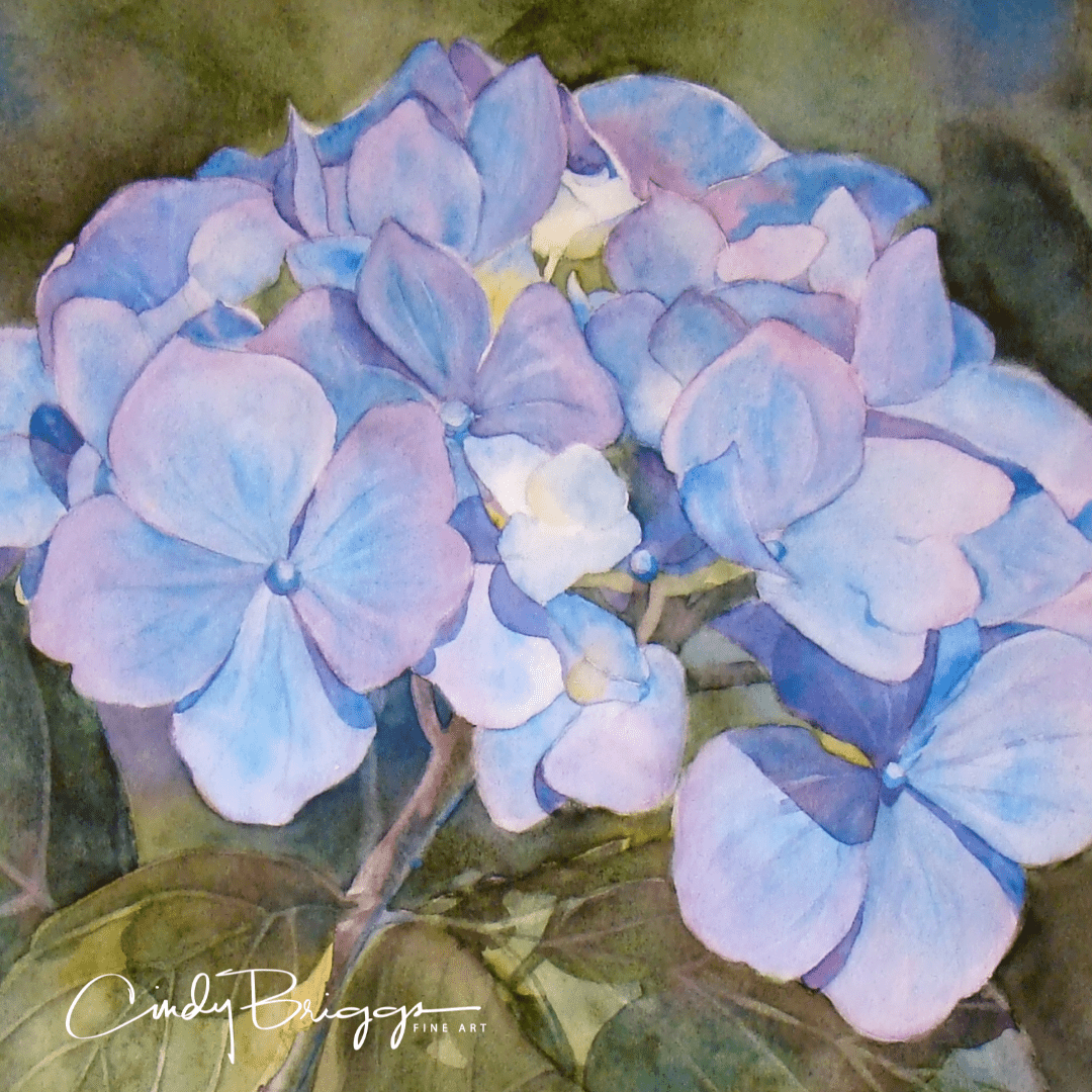 Watercolor Blossoms with Cindy Briggs & Theresa Goesling | French Escapade Cindy Briggs Art Watercolor Painting Watercolor Blossoms Hydrangea 1
