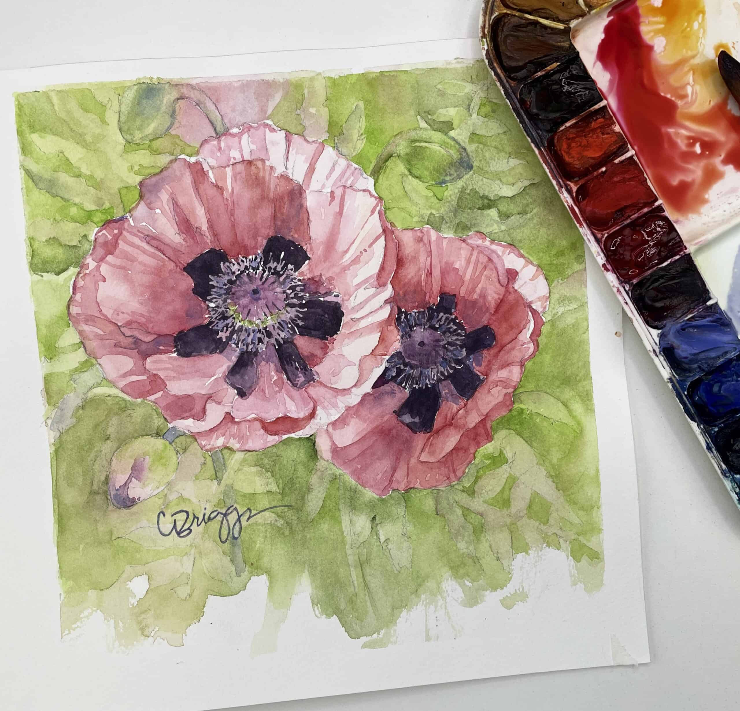 Coral Poppies Sunny Market Flowers Watercolor Workshop