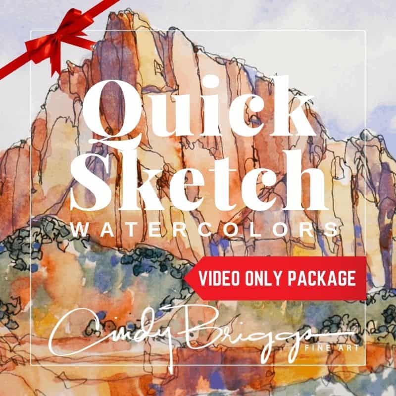 QUICK SKETCH Video only gift