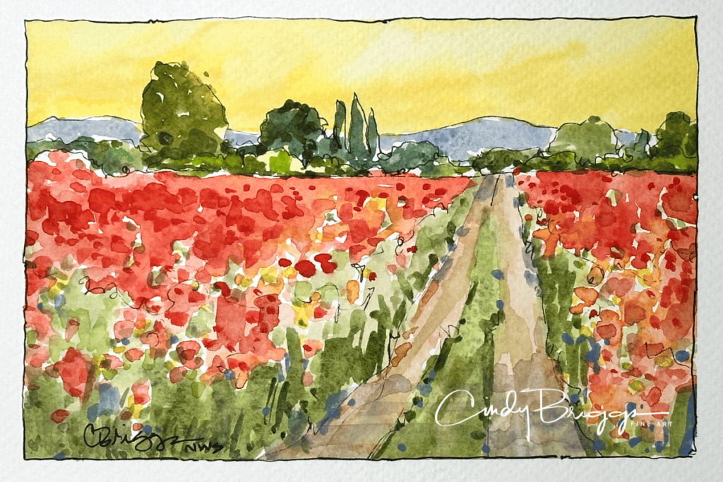 Quick Sketch Poppies Lesson