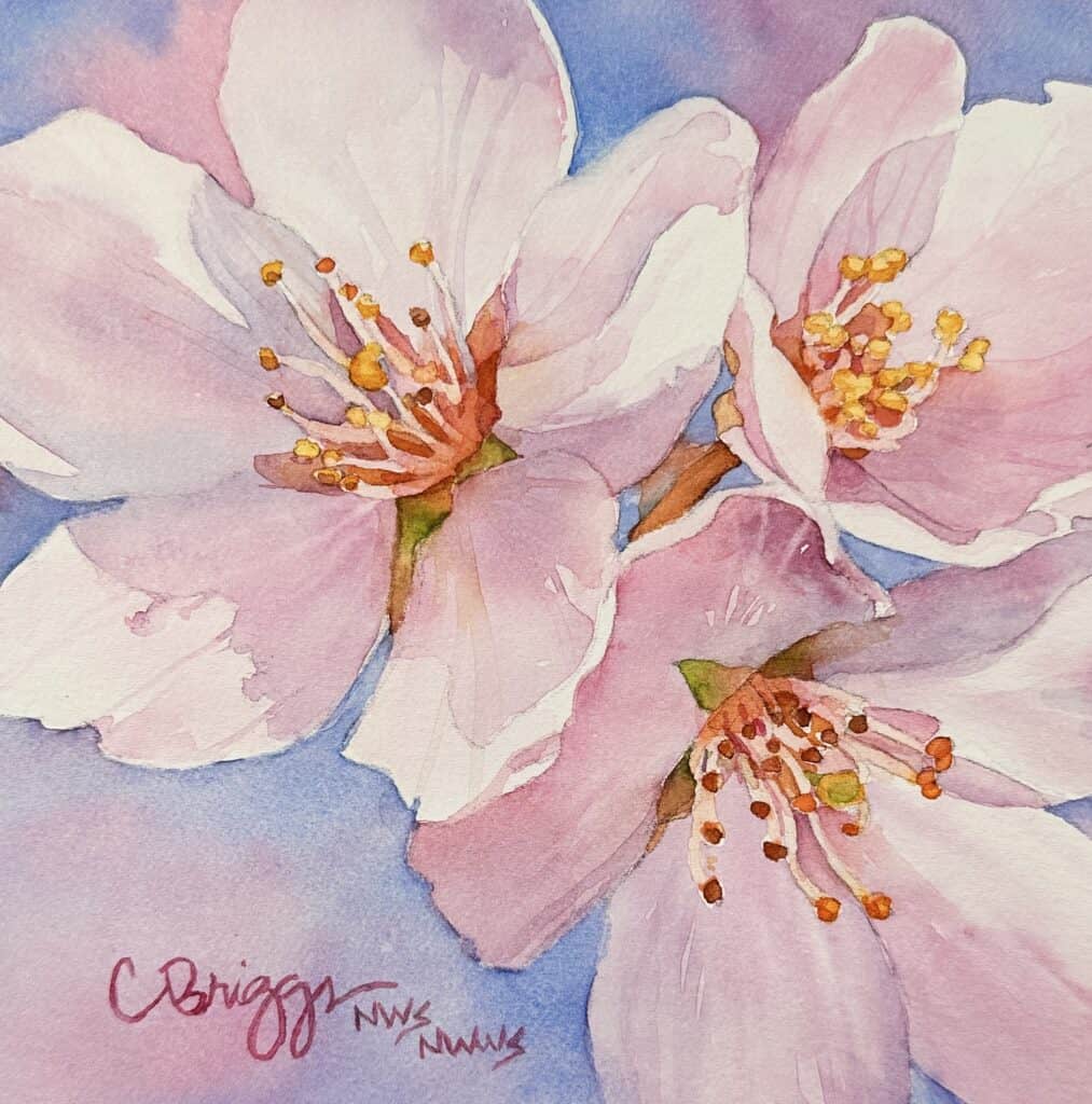 Cherry Blossoms Trio