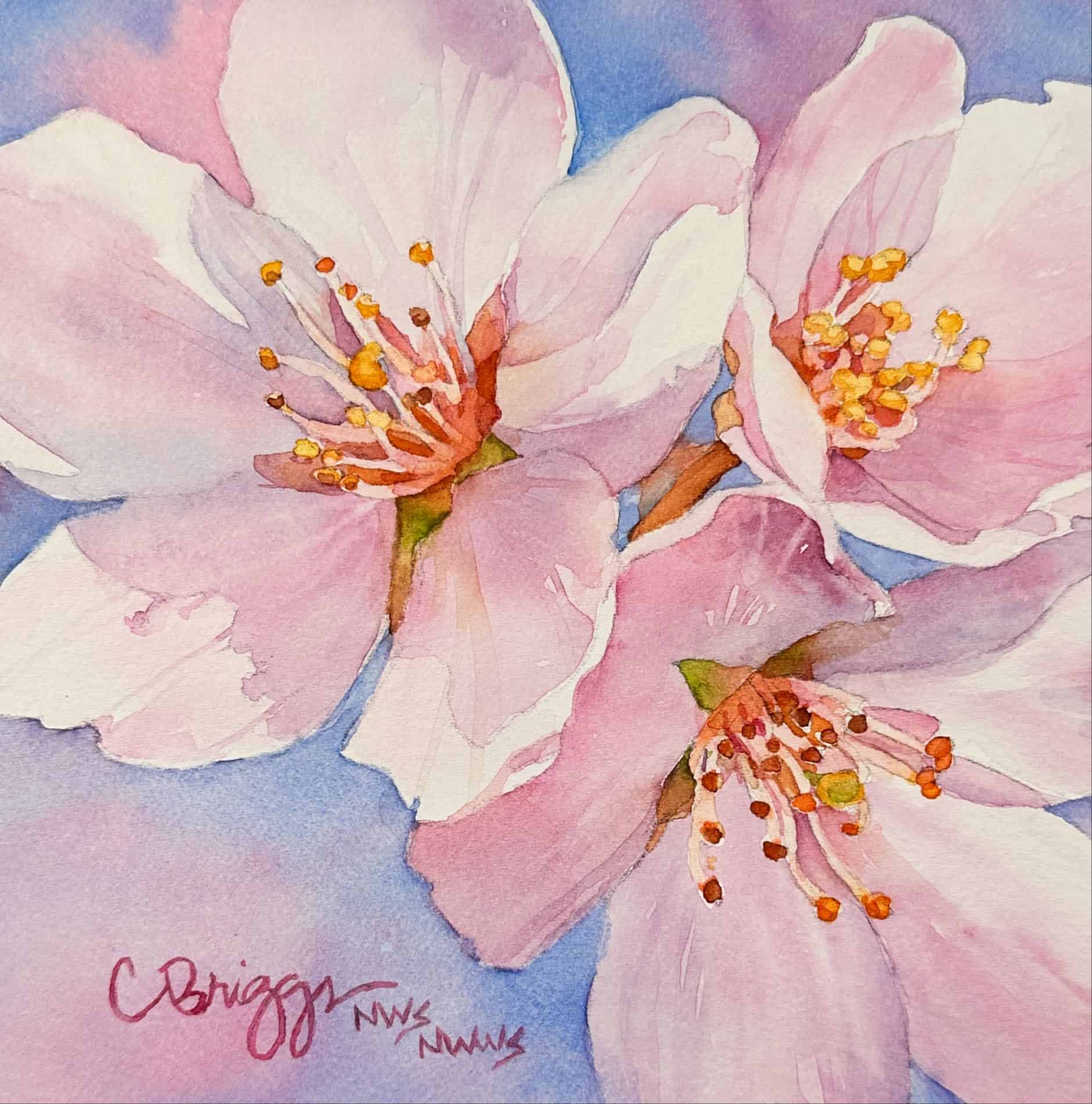 Cherry blossoms painting