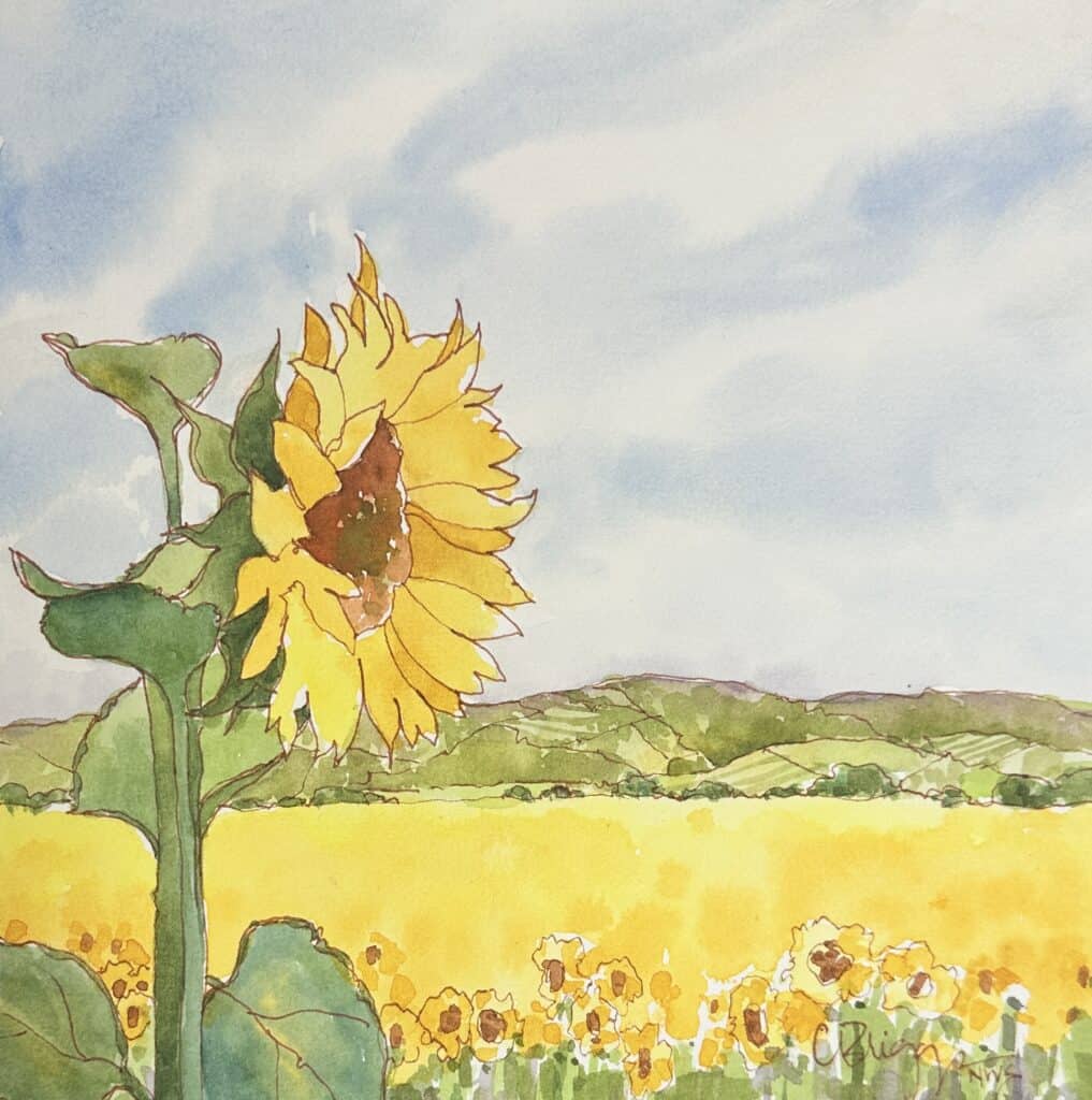 Sunflower field watercolor landscape inspiration