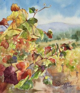 imgi 53 Briggs Cindy California Vines scaled