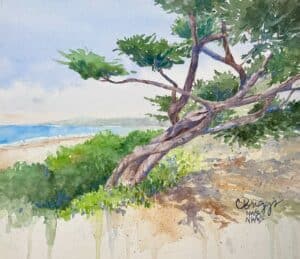 imgi 54 Cypress by the Sea Cbriggs