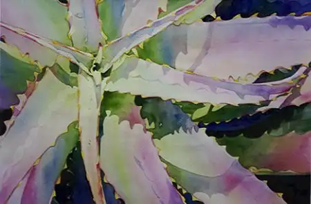Mission Aloe Cindy Briggs Art Watercolor Painting Mission Aloe