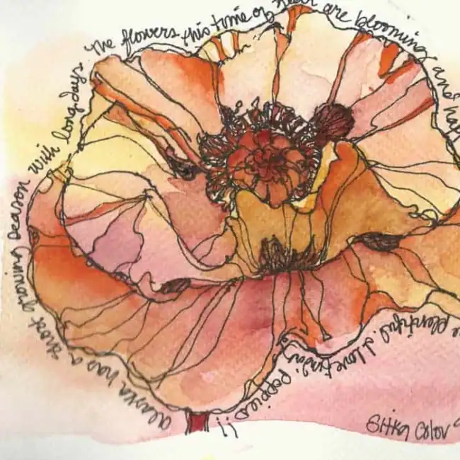 Poppy-Sketch-1024x699-1.webp