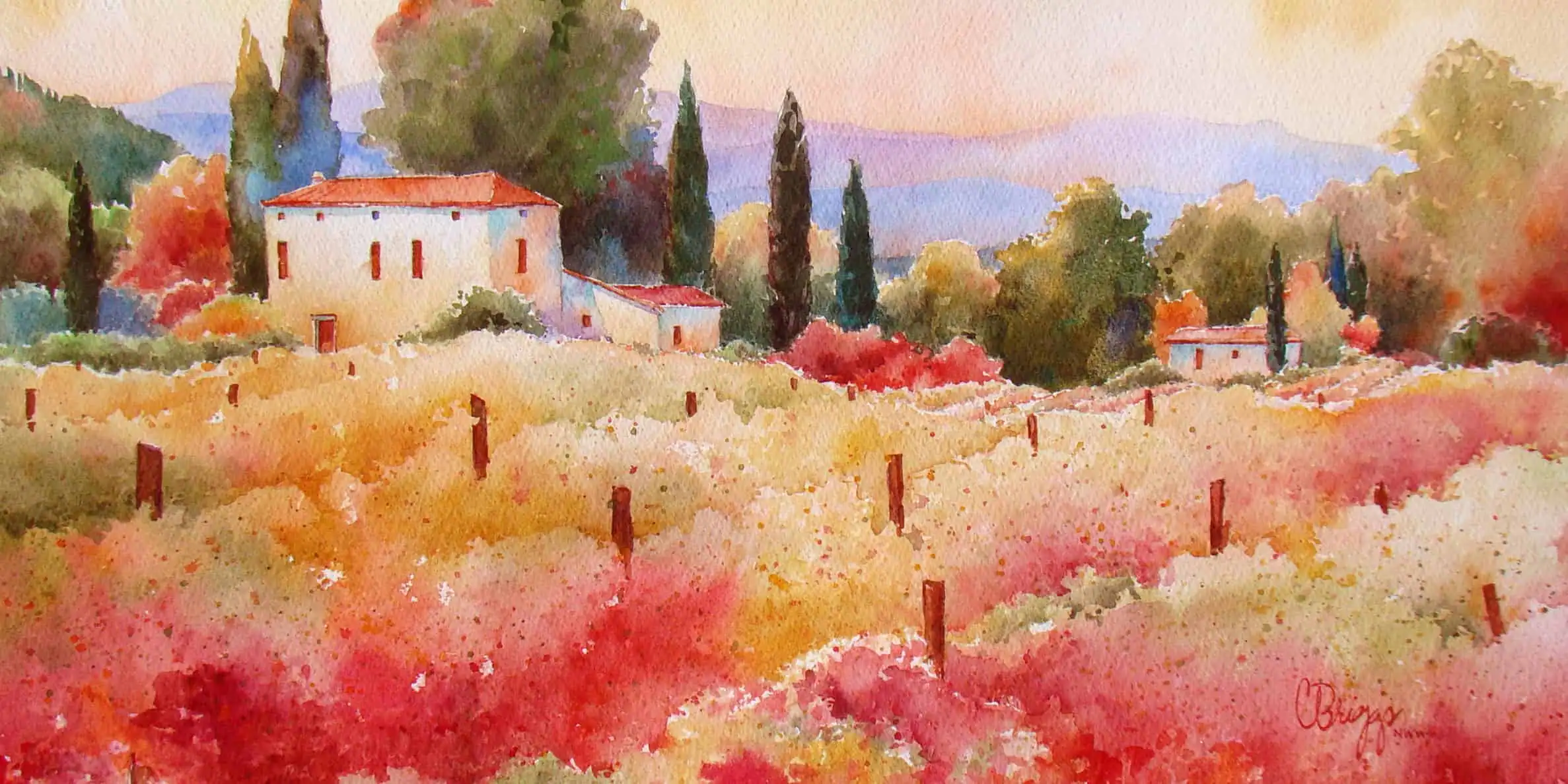 Val dOrcia Vineyard Val di Orcia Vineyards Cindy Briggs Art Watercolor Painting