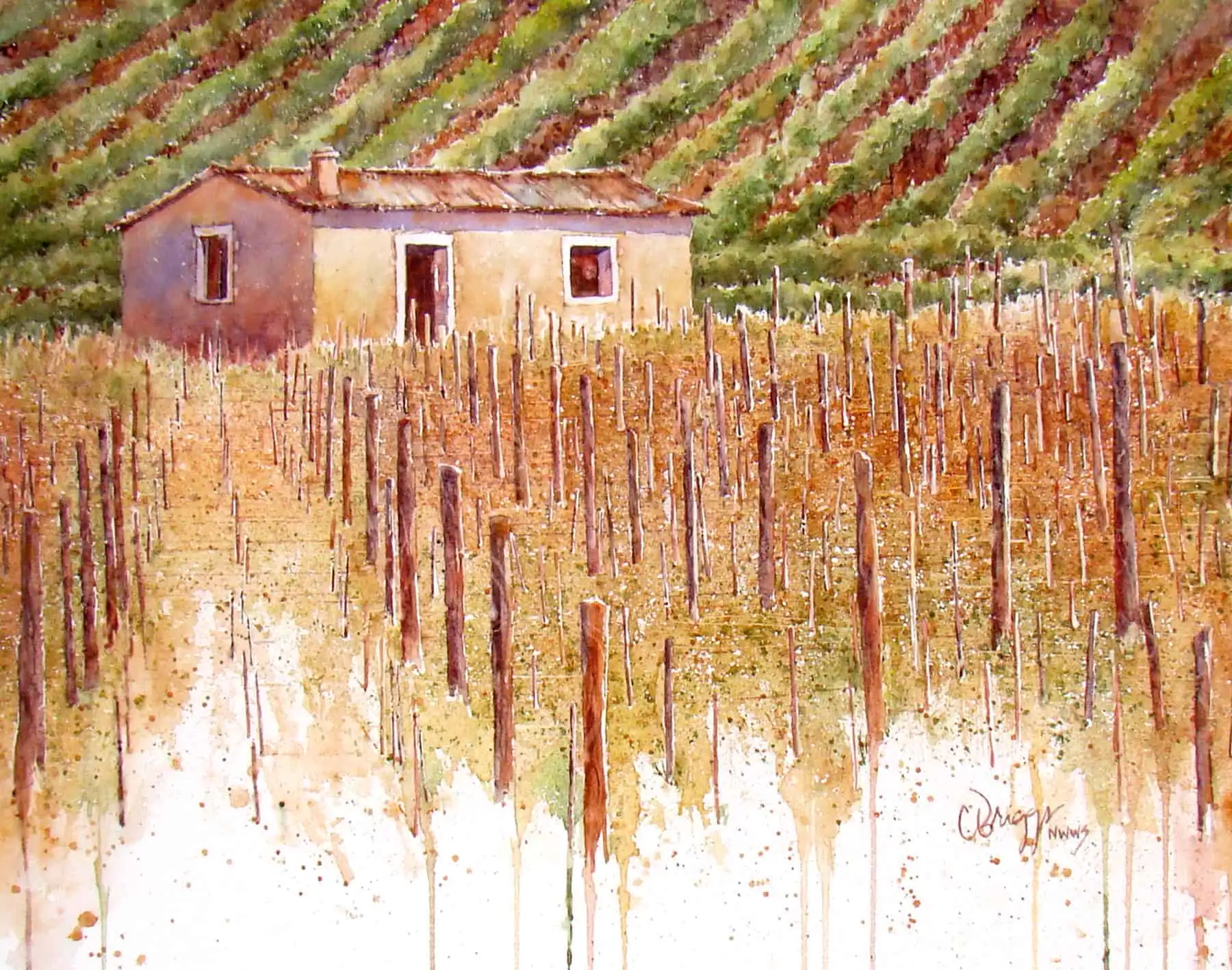 Val diOrcia Vineyard Val di Orcia Vineyards Cindy Briggs Art Watercolor Painting
