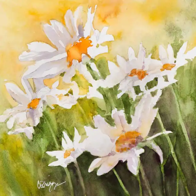 Wake-up-to-Spring