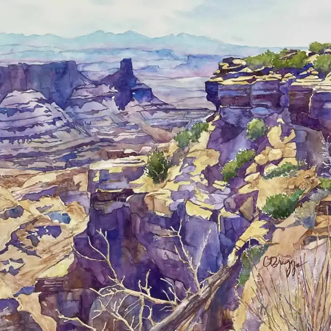 Dead-Horse-Point-Canyonlands-15-x-15-.webp