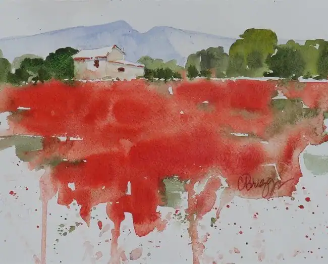 Provence-Poppies.webp