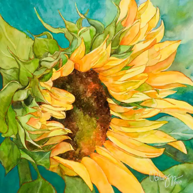 Sun-Dancers.webp