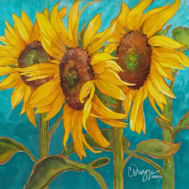 Sun-Dancing-Trio.webp