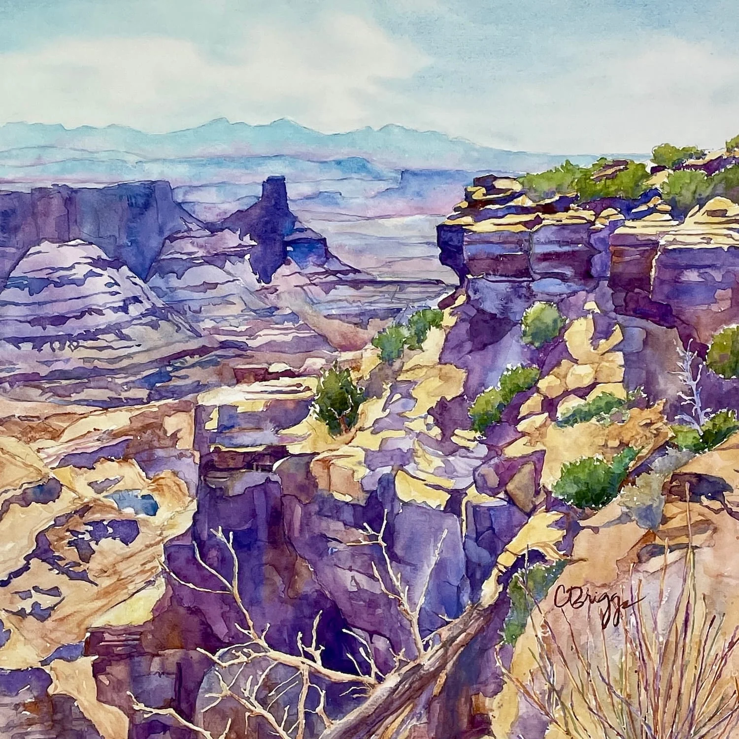 3Dead Horse Point Canyonlands Utah 15 x 15 3500 Featured in SPLASH 24 Plein Air Magazine NWS CBriggs Canyonlands Cindy Briggs Art Watercolor Painting