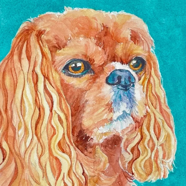 Bella 8 x 8 Watercolor Sold Collections Cindy Briggs Art Watercolor Painting