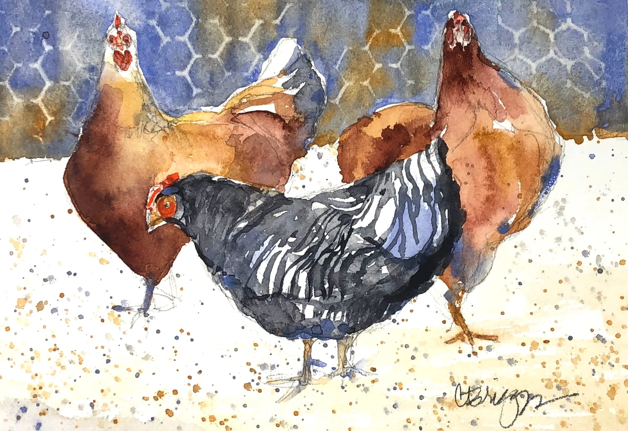 Chicken Trio Watercolor 5 x 7 250 Animals Cindy Briggs Art Watercolor Painting