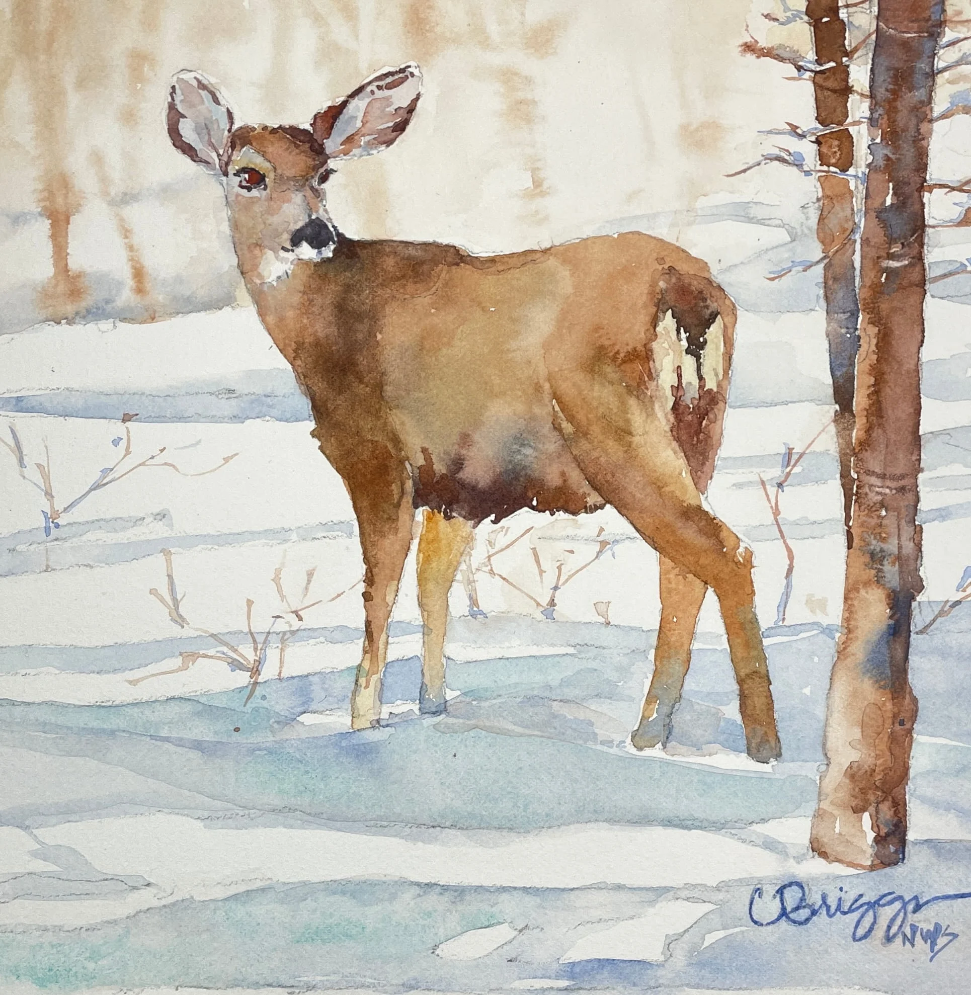 In my Back Yard 8 x 8 Watercolor Animals Cindy Briggs Art Watercolor Painting