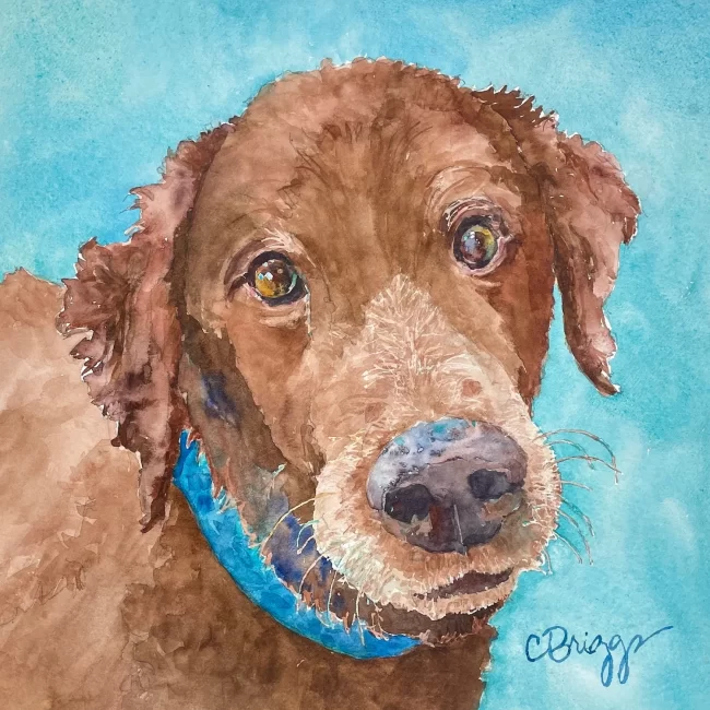 Logan 8x8 Watercolor Sold Collections Cindy Briggs Art Watercolor Painting