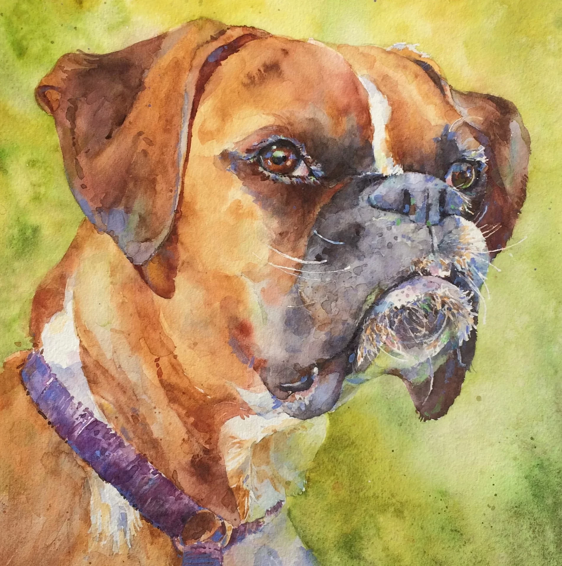 Pet Portrait Commission Watercolor 8 x 8 700 Pet Portrait Commission Cindy Briggs Art Watercolor Painting