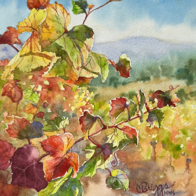 Santa Ynez Vines 10 x 8 Watercolor 800 copy Collections Cindy Briggs Art Watercolor Painting