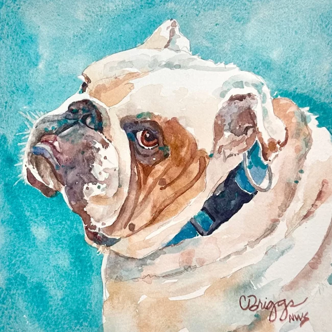 Winston in Provence 8 x 8 550 w Mat Watercolor Collections Cindy Briggs Art Watercolor Painting