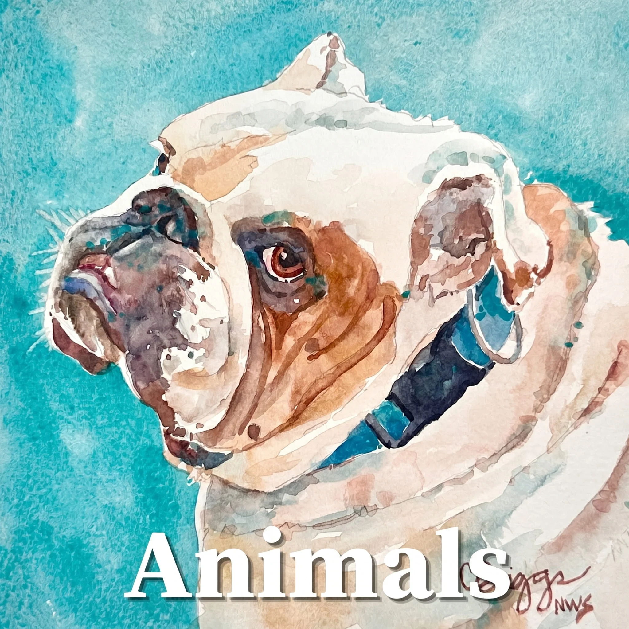 Winston in Provence cover 1 Gallery Cindy Briggs Art Watercolor Painting